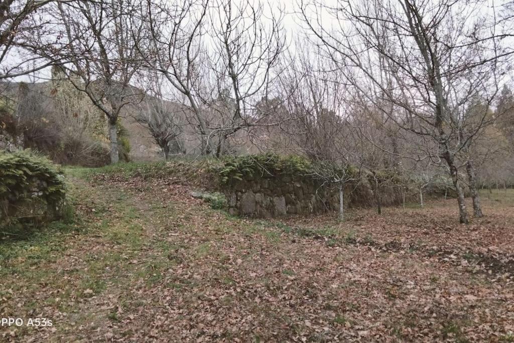 Confort, Fun And Leisure In Douro Rural Space Sande (Porto) Exterior foto