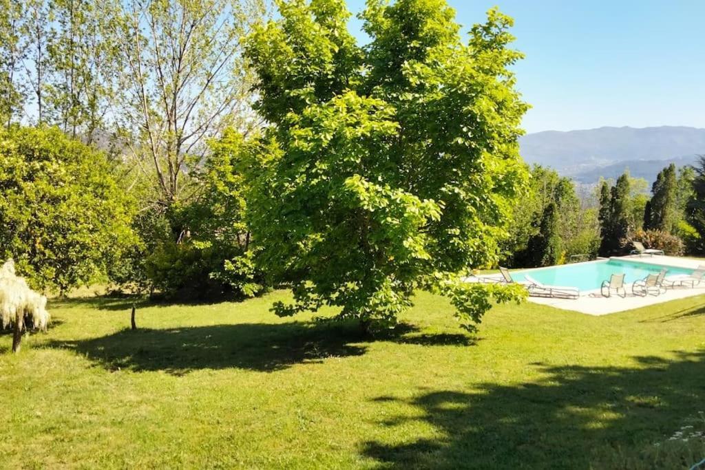 Confort, Fun And Leisure In Douro Rural Space Sande (Porto) Exterior foto