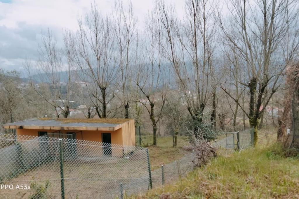 Confort, Fun And Leisure In Douro Rural Space Sande (Porto) Exterior foto